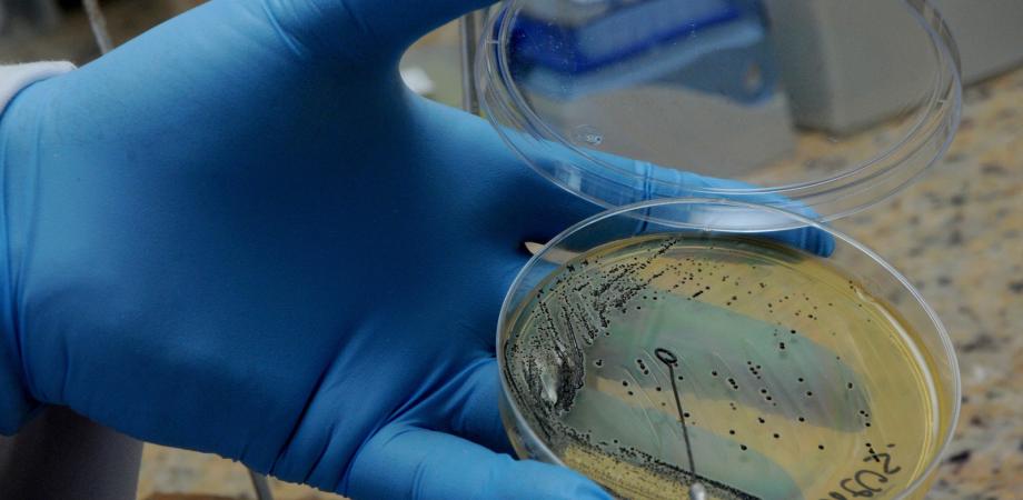 Resistencia antibióticos